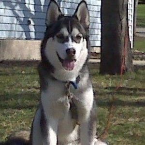 Meet your Posher, Kris